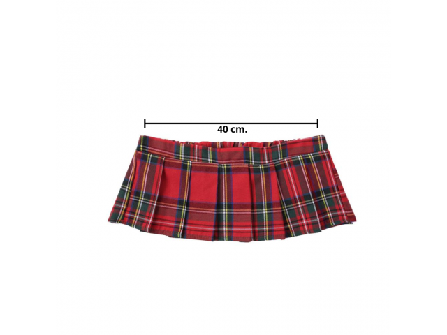 Fantasía Colegial   Talle Único  Adultos