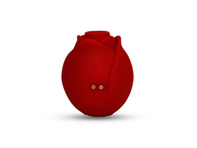 Vibrador Estimulador Succionador de Cl�toris Rosa YS-BE244   Adulto